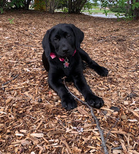 Meet your Posher, Tania